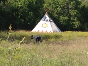 Tipi in the South Meadow